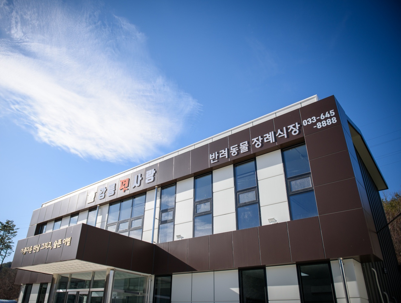 배경
